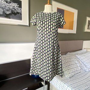 ❤️ The Limited Pineapple Print T-Shirt Dress SMALL    - F177